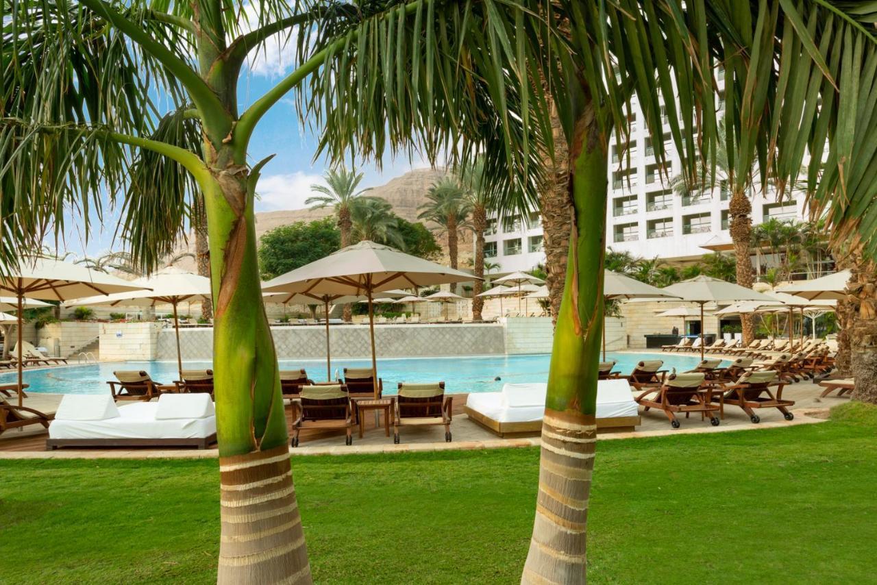 이스로텔 데드 씨 호텔 에인 보켁 외부 사진 The pool at the Four Seasons Hotel, Los Cabos